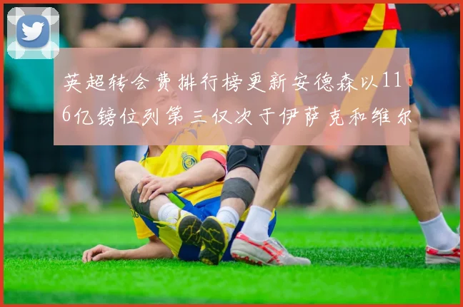 英超转会费排行榜更新安德森以116亿镑位列第三仅次于伊萨克和维尔茨